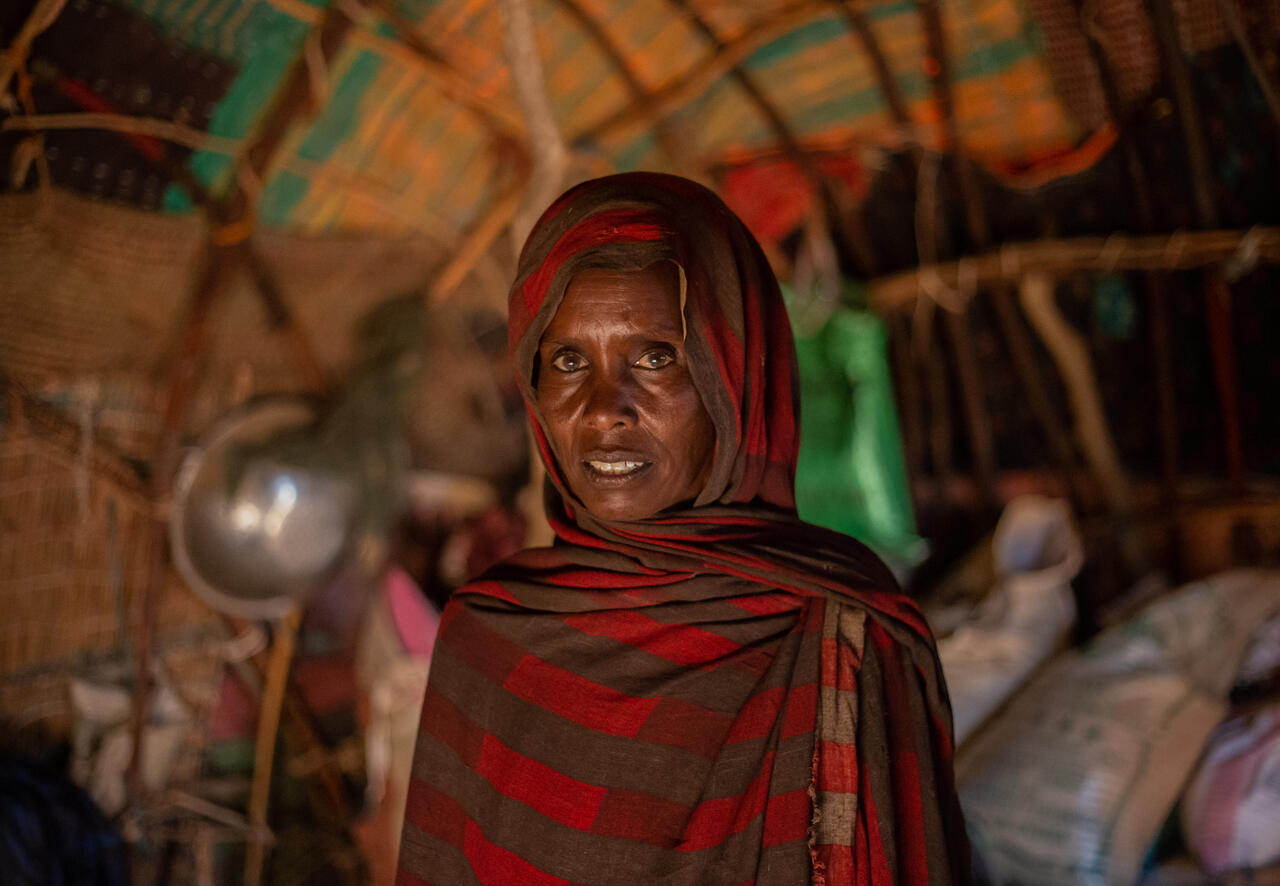 Crisis in Ethiopia: Drought and conflict put 28 million in need | The IRC