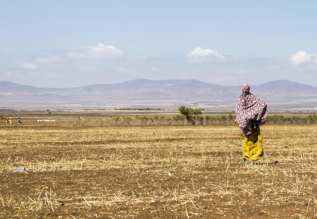 Eine Frau steht auf einem Feld in Äthiopien.