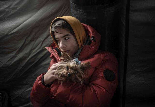 A boy cradles his dog at Medyka border crossing, Poland