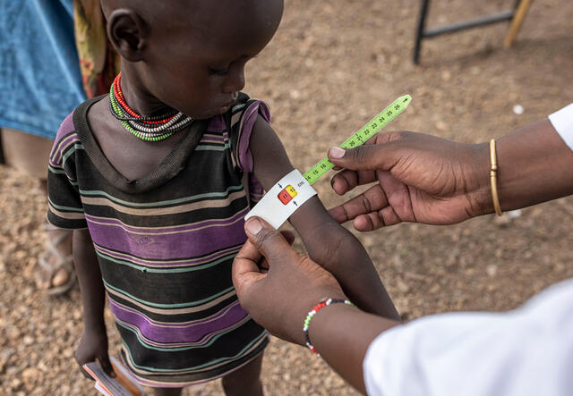 Ministry of Health (MoH) nutritionist Sammy Eloto, screens Lokiyoto's son Kaliba, 2, for malnutrition near RukRuk village in Turkana, Kenya