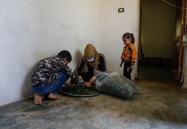 A mother and her two children sit around a plate of herbs, working with them in some capacity. Besides the herbs and the family, the room is barren.