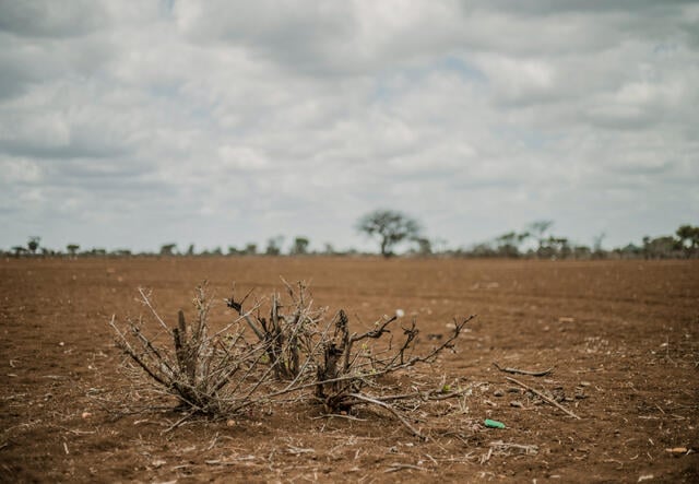 Baren farmland in Somalia due to climate change exacerbated drought. 