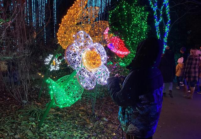 A student looking at a display of lights shaped like giant flowers.