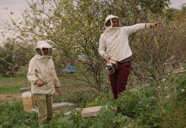 Hudaifah and her partner Yousef work in an apiary outside the city limits of Amman, Jordan.