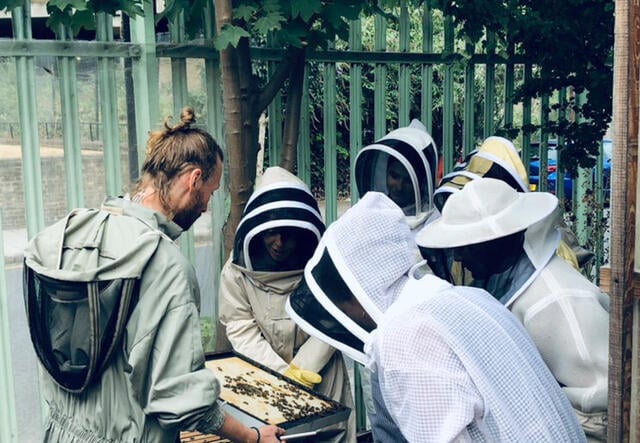 Bees & Refugees community beekeeping experience business London