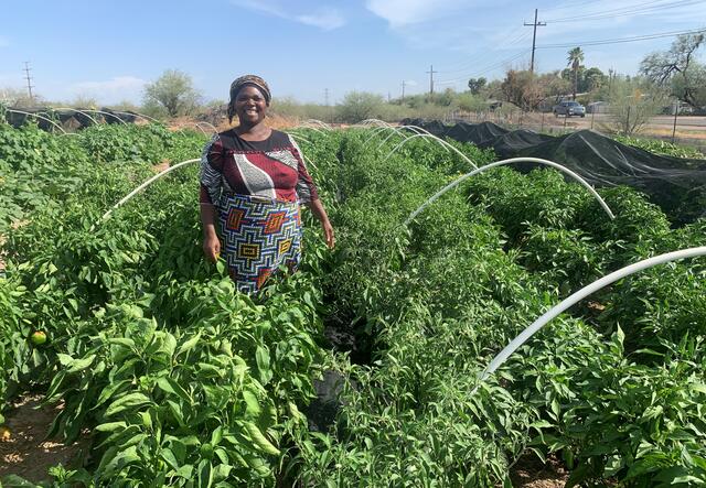 Anezi among her pepper plants