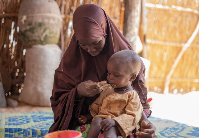 A mother feeds her 16 month old child in the Awaridi camp in Niger.