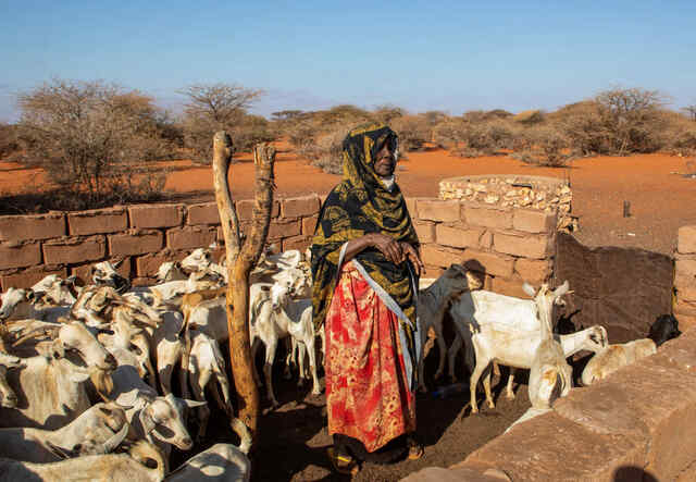 80-åriga Hawo står vid sin gård i Somalia.