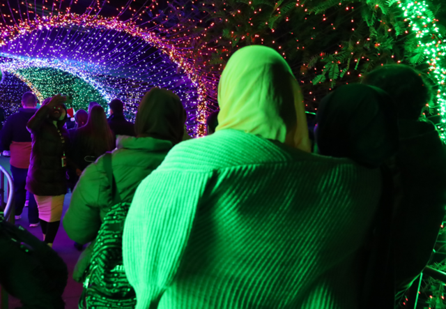 Youth Futures students entering the Tunnel of Light at the Atlanta Botanical Garden.