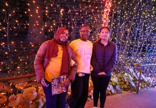 Youth Futures students standing in the Tunnel of Light at the Atlanta Botanical Garden.