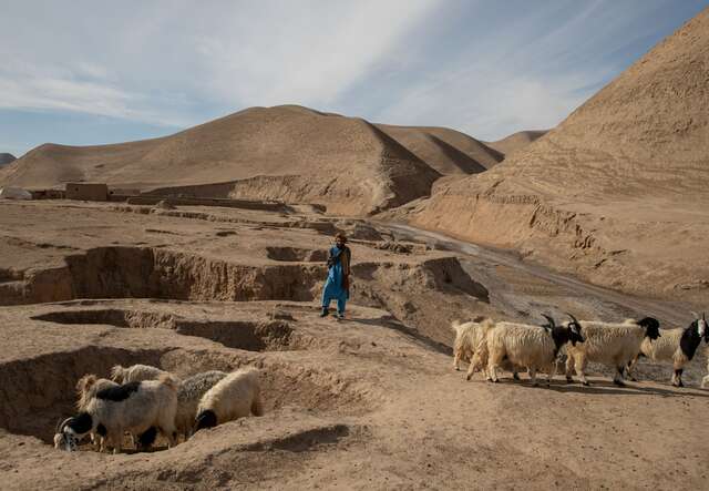 Abdul Haq taking his sheep out for a walk. He spends days, sometimes, looking for water for his family and livestock. His own house is very cold inside compared to outside, especially after the sun sets.