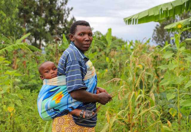 A mother walks through lush fields with a young child swaddled on her back.