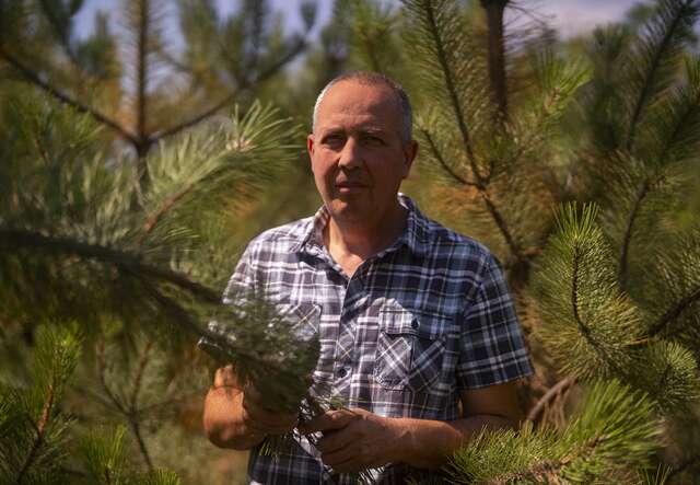  Valerii, an ecologist and former university professor, stands among the pine trees on his plantation.