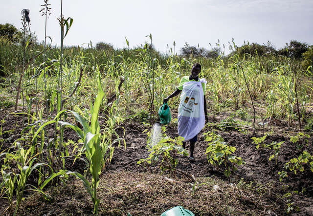 Genom stöd från RESCUE har Nyapar Kujiek kunnat utveckla sitt jordbruk i Sydsudan.