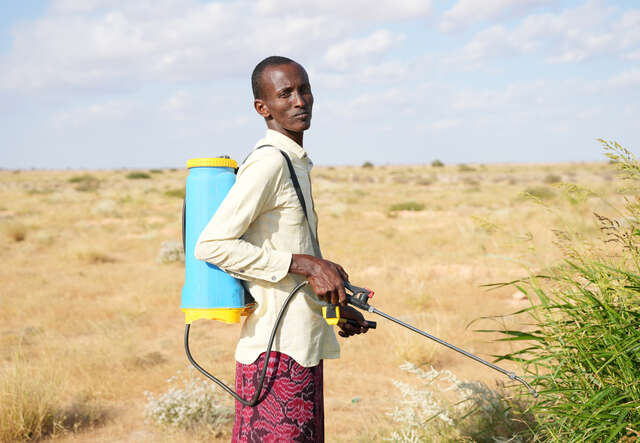 A man sprays crops
