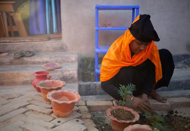 A volunteer plants flowers at the IRC’s Women’s Centre in Cox’s Bazar camp in Bangladesh