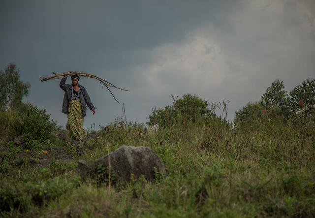 Women in North Kivu in the Democratic Republic of The Congo have banded together to grow crops, using the shared income to pay for their children's schooling.