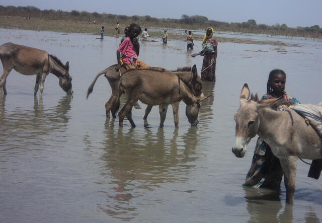 Treating water to prevent cholera