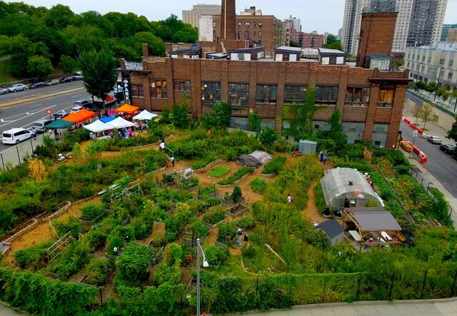 Bird's eye view of the New Roots Community Farm