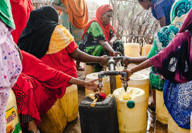Refugee women in Dadaab collecting water Photo: Martha Adams