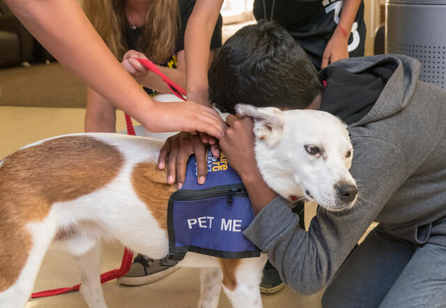 RYSA students petting a dog