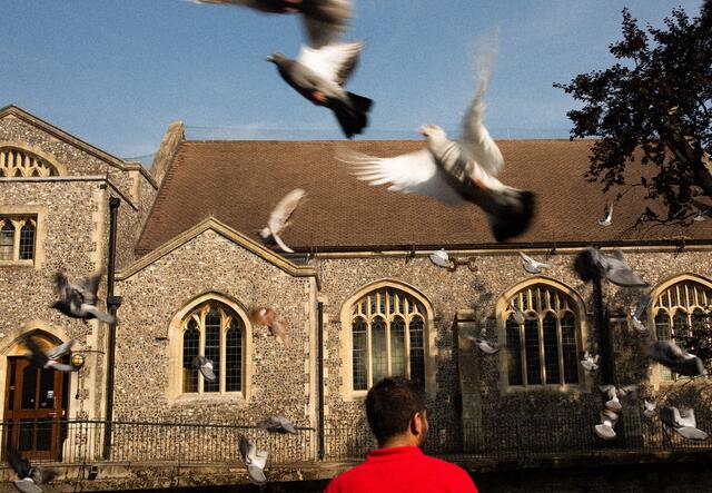 Maasom stands walks in a churchyard in England as pigeons fly past.