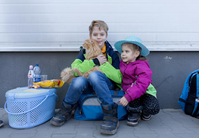 A young boy holding a cat sits on a bag next to his sister, who is kneeling on the ground.