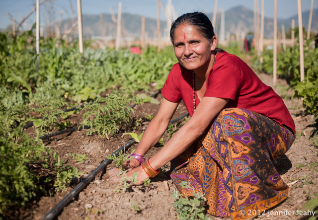 A woman wearing a reed shirt and a print skirt smiles at the camera as she tends to her vegetables in the ground.