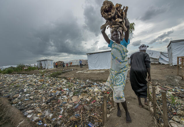 A woman carries firewood outside a camp for displaced people