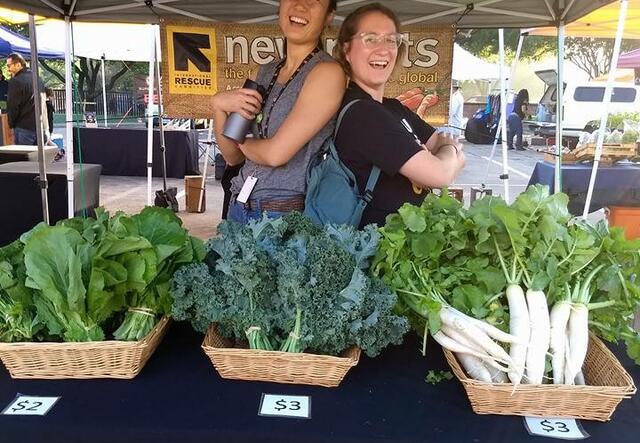 Yui Iwase and a volunteer at the farmers market with New Roots