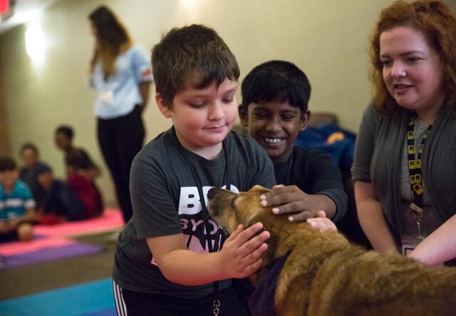 Students learn how to interact with animals with pet therapy dogs at RYSA.