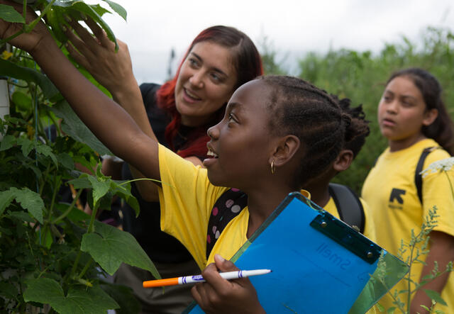 Students explore the New Roots Community Farm