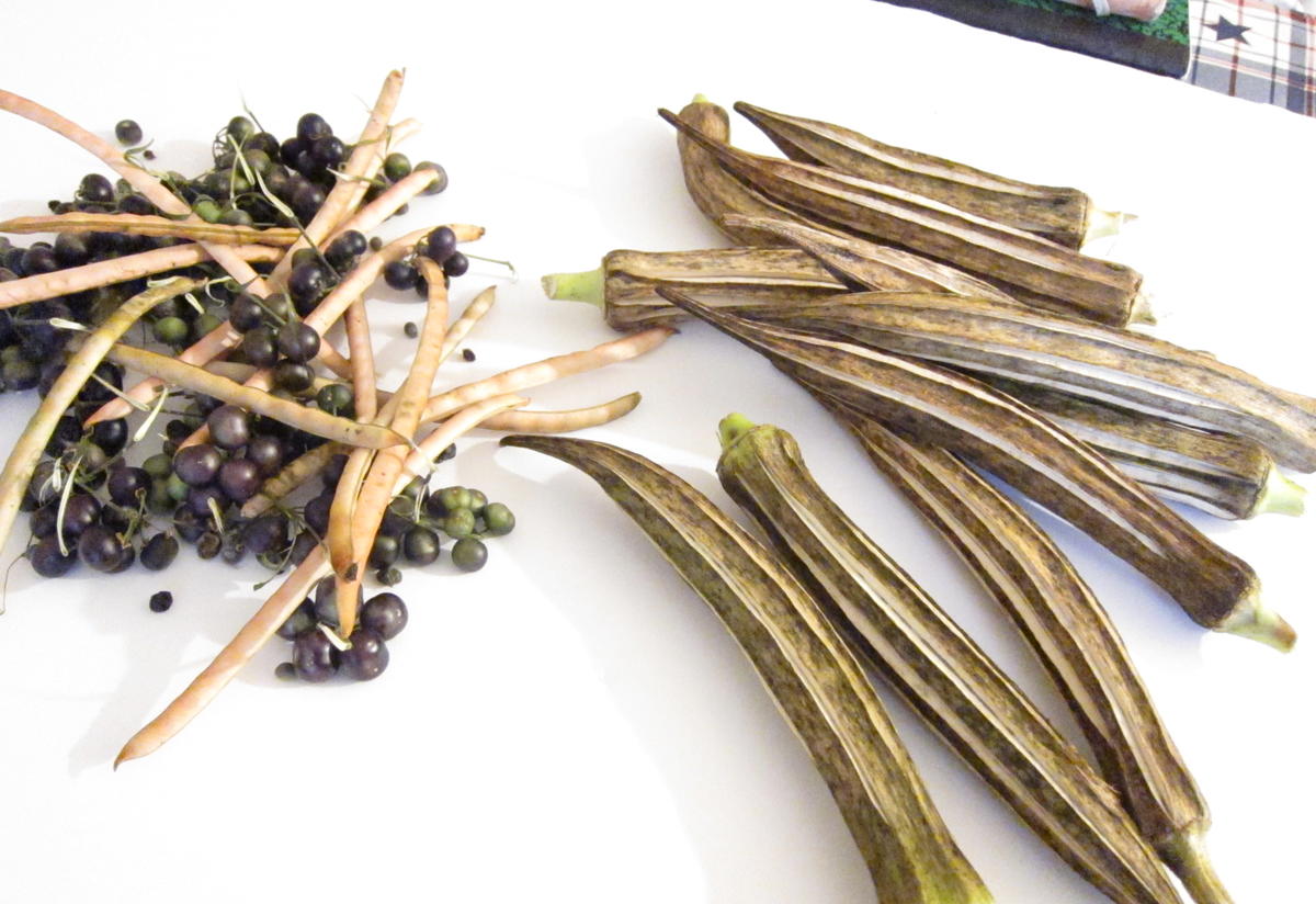 dried seeds and okra laid on the table