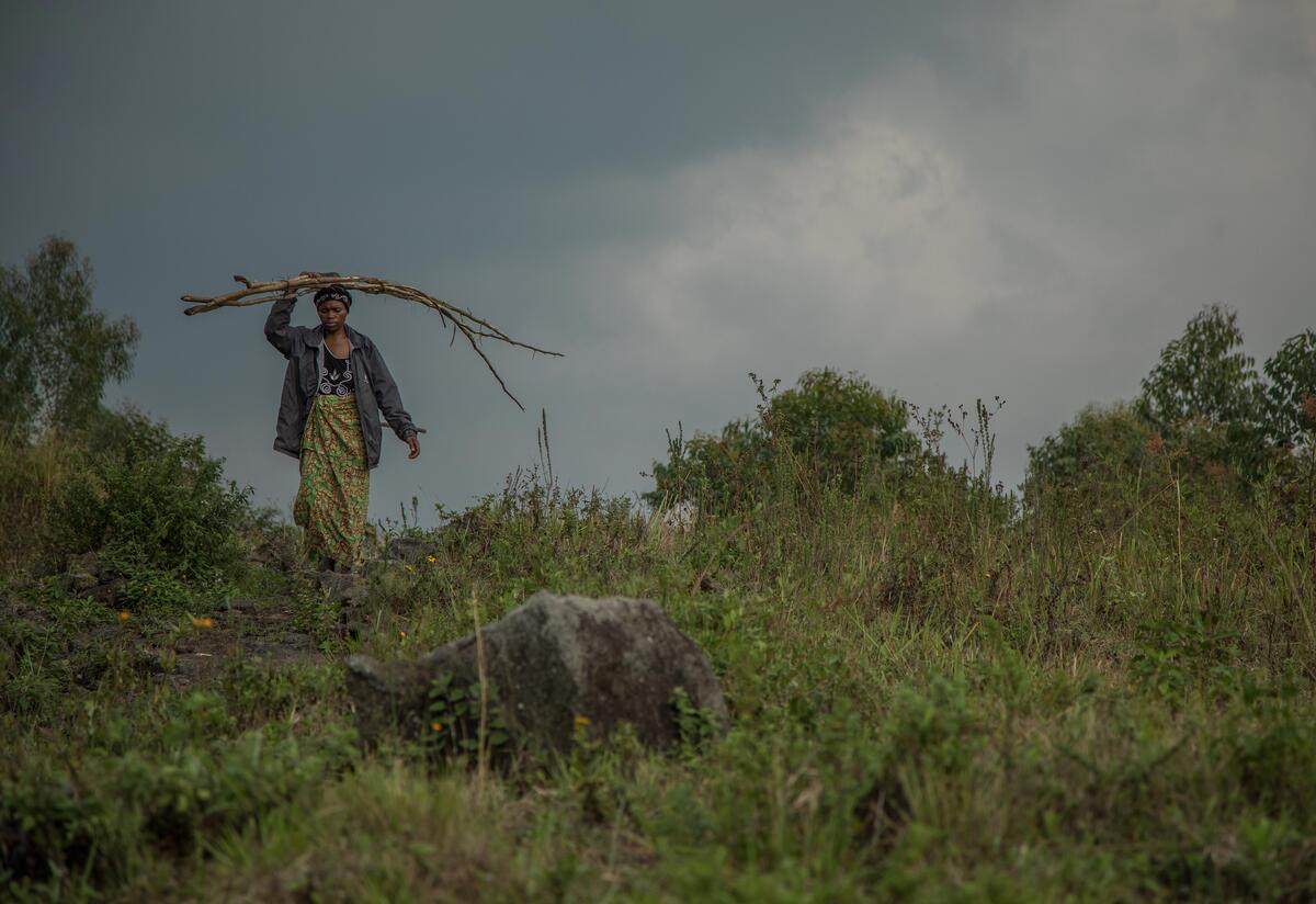 Members of an IRC-supported community organization in the DRC grow crops to sell and share the income to grow their businesses or help their kids pay school fees. Against a lush green landscape, a woman walks carrying large sticks over her head.