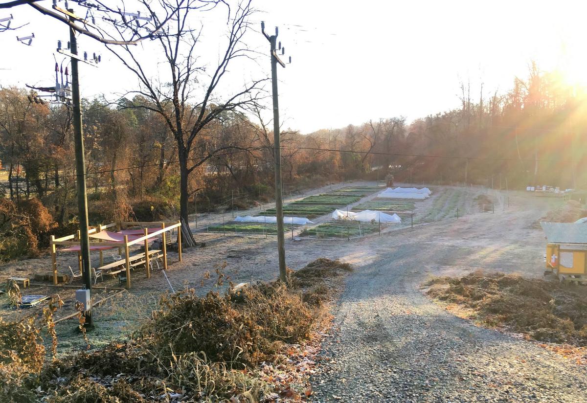January at the New Roots Farm in Charlottesville