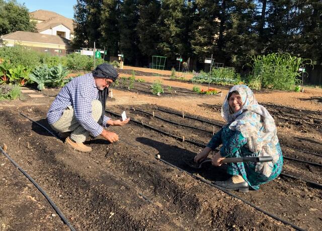 A husband and wife are smiling while hunched down, planting seeds in a garden bed at Turlock Community Gardens.