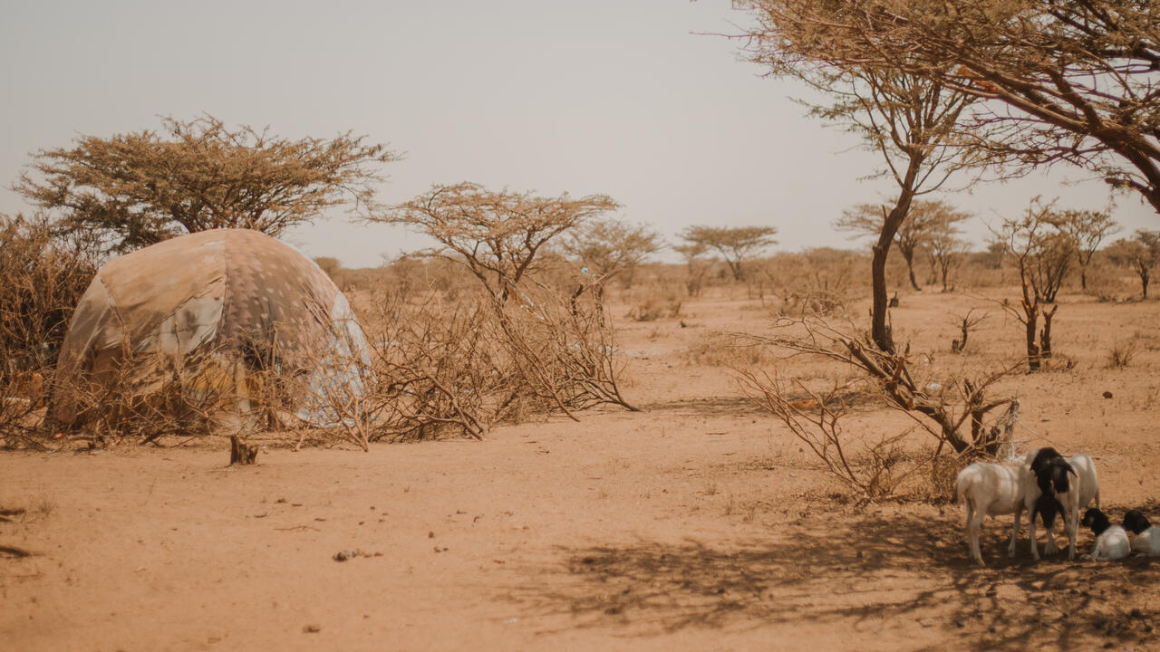 Five places bearing the brunt of the climate crisis - Vimarsana News