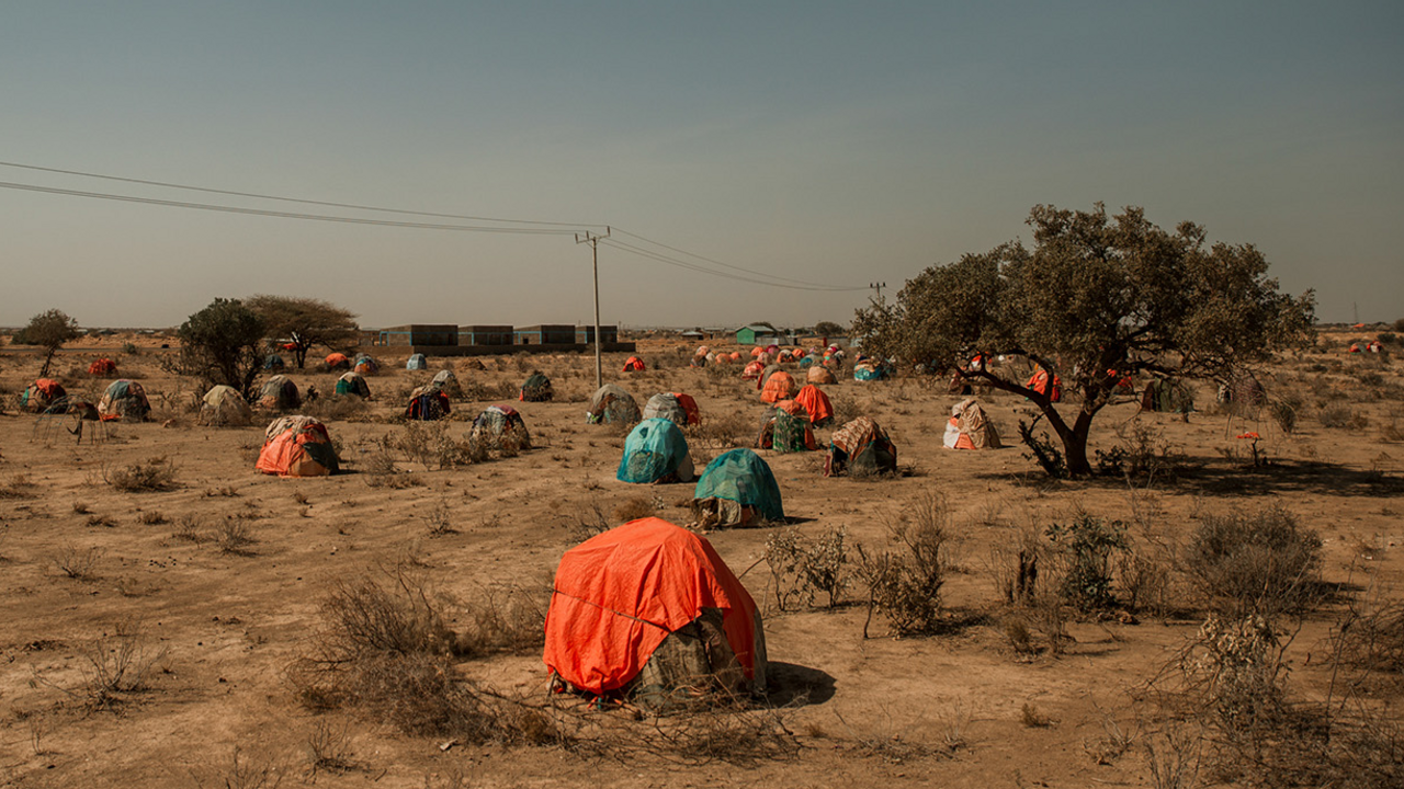 Drought Rescue by Karen Tyrrell