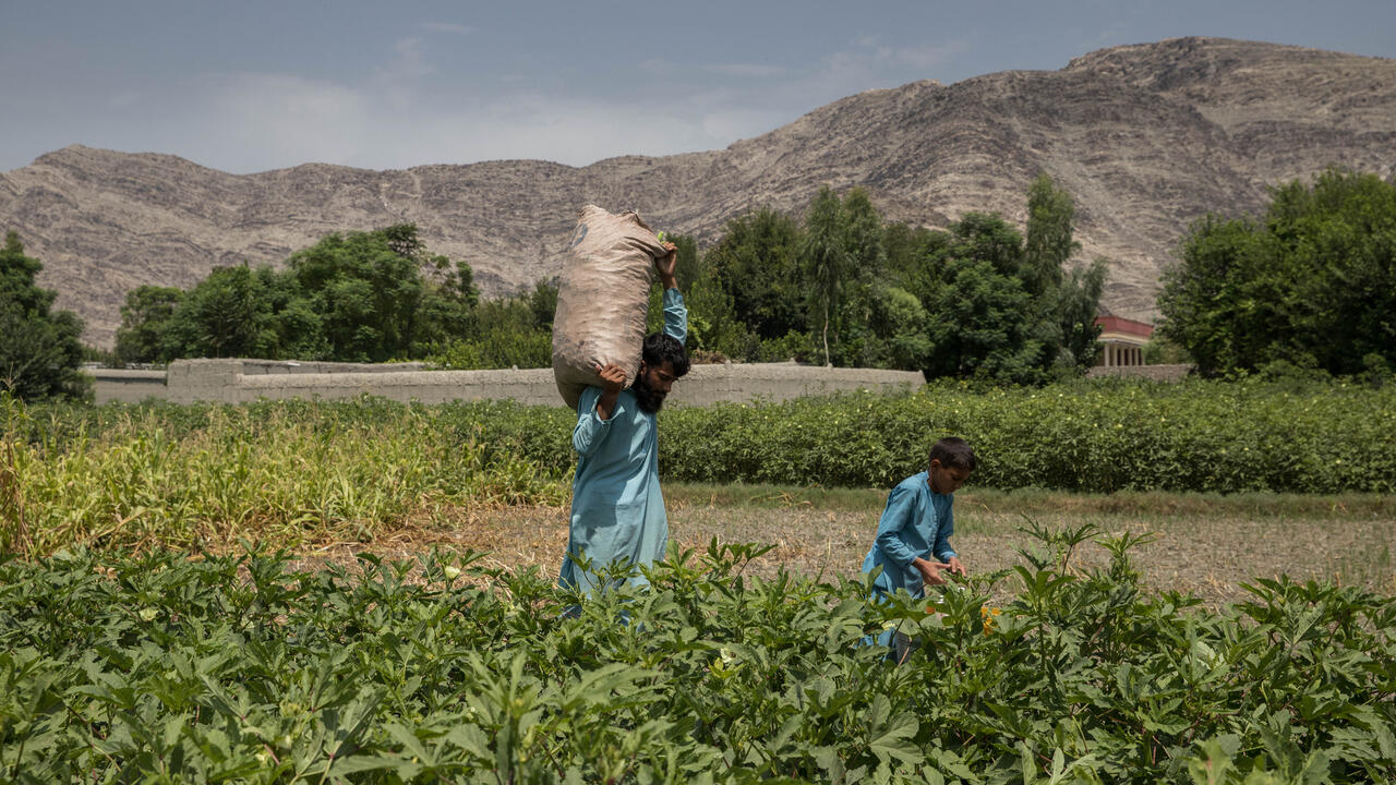 Afghanistan: An entire population pushed into poverty | The IRC