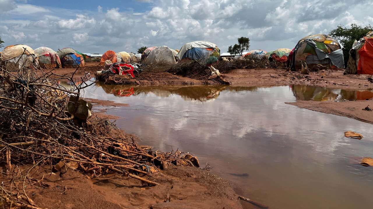 🌍 Super El Niño pode deixar milhões sem comida