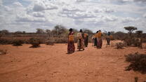 Women going long distances to search for water- drought-affected communities