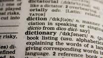 Image of a dictionary