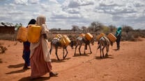 Two Ethiopian women with water containers on their back walk with a herd of livestock through a drought-stricken landscape.