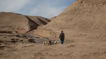 Abdul Haq, 30, takes his sheep out for a walk in Sang-e-Atash district, Badghis province, Afghanistan. 