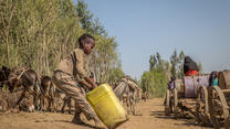 Boy fetching water