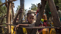 A boy leans against a fence made of branches in Ethiopia.