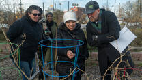 Andrew Zimmern right)  and others examine crops at an IRC New Roots refugee farm in the Bronx, New York City