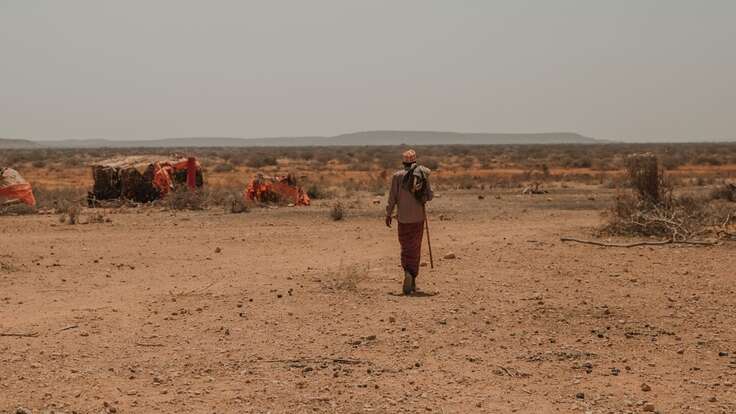 Watchlist Insight: Climate and Humanitarian Crisis in the Central Sahel ...