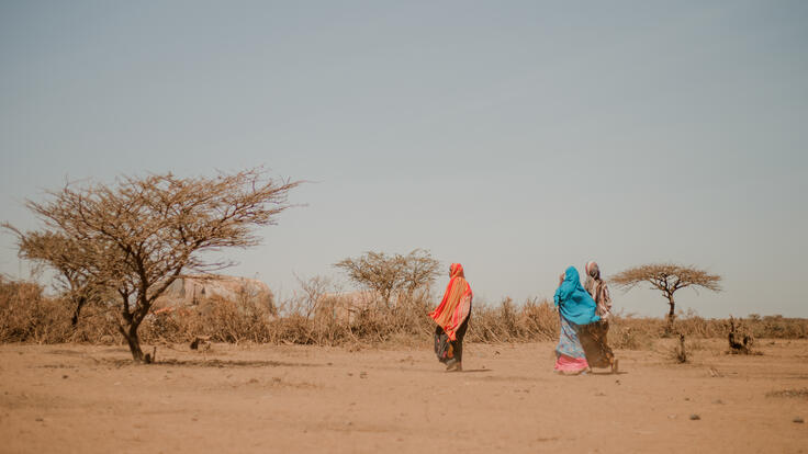 A drought-stricken landscape from Ethiopia.