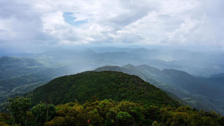 Lush forrest atop mountains covered in mist.